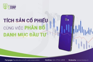 TÍCH SẢN CỔ PHIẾU CÙNG VIỆC PHÂN BỔ DANH MỤC ĐẦU TƯ